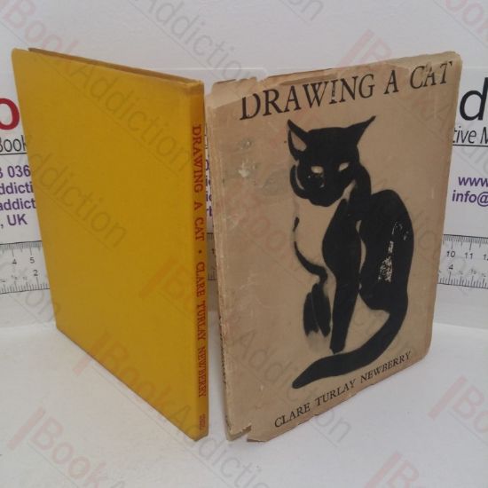 Picture of Drawing a Cat