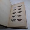 Picture of A Natural History of British Moths (Volumes I, II, III and IV)