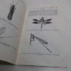 Picture of Collection and Preservation of Insects (Miscellaneous Publication, No. 601)