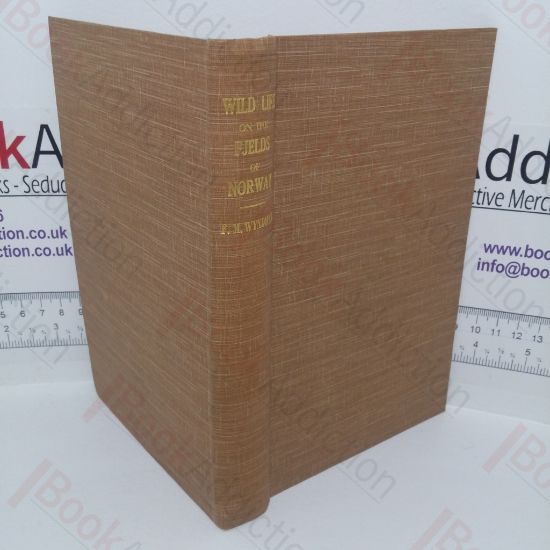 Picture of Wild Life on the Fjelds of Norway