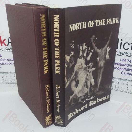 Picture of North of the Park