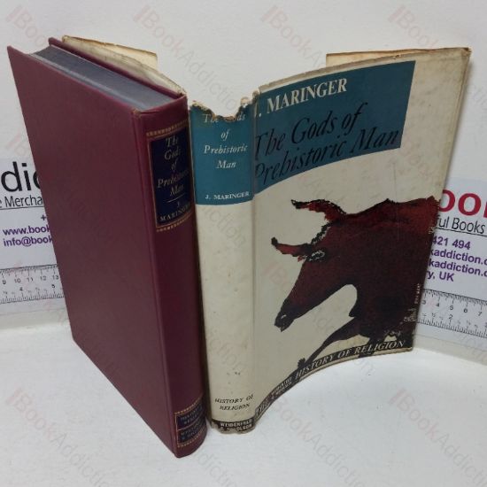 Picture of The Gods of Prehistoric Man