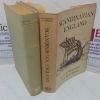Picture of Scandinavian England: Collected Papers