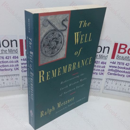 Picture of Well of Remembrance: Rediscovering the Earth Wisdom Myths of Northern Europe
