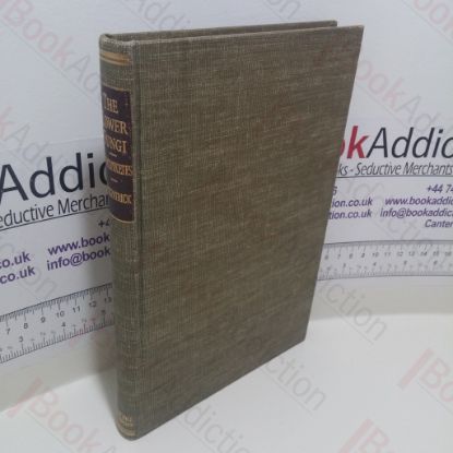 Picture of The Lower Fungi: Phycomycetes