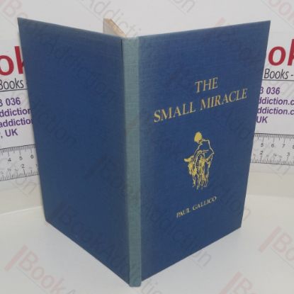 Picture of The Small Miracle