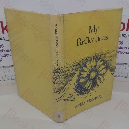 Picture of My Reflections