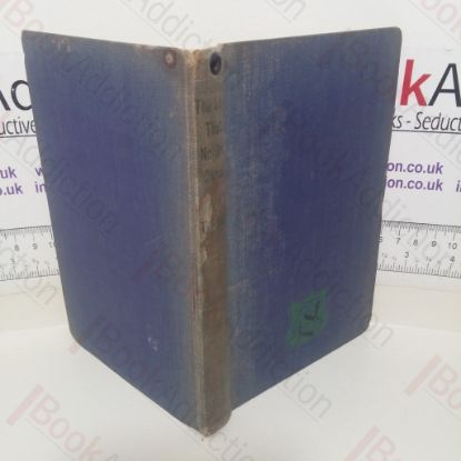 Picture of The Ship That No One Owned