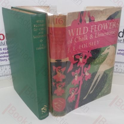 Picture of Wild Flowers of Chalk and Limestone (New Naturalist series, No. 16)