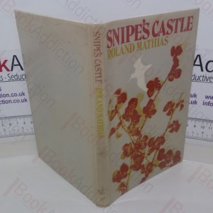 Picture of Snipe's Castle