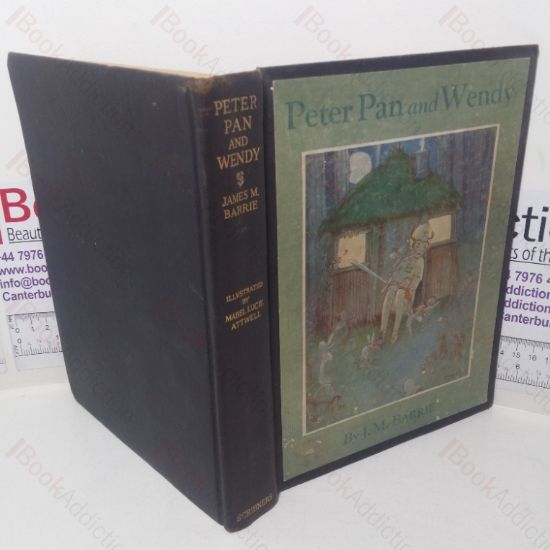 Picture of Peter Pan and Wendy