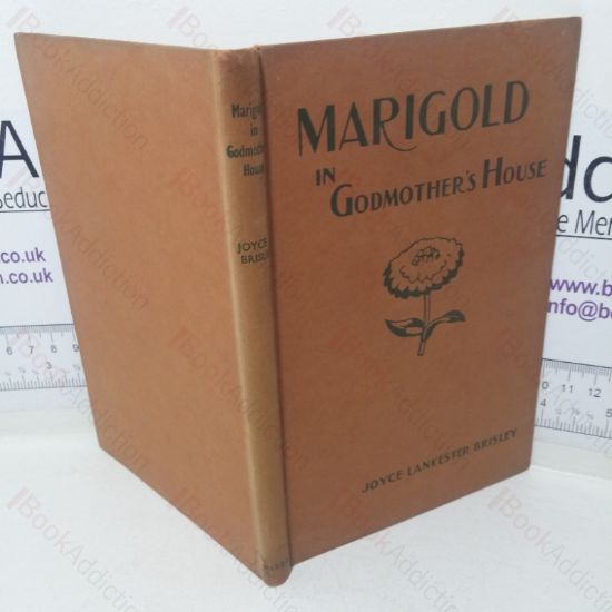 Picture of Marigold in Godmother's House