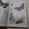 Picture of The Illustrated Encyclopaedia of Butterflies and Moths
