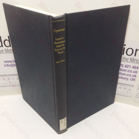 Picture of Openings: Narrative Beginnings from the Epic to the Novel