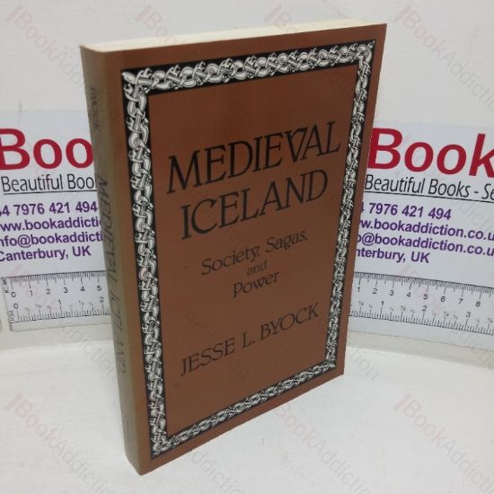 Picture of Medieval Iceland: Society, Sagas, and Power