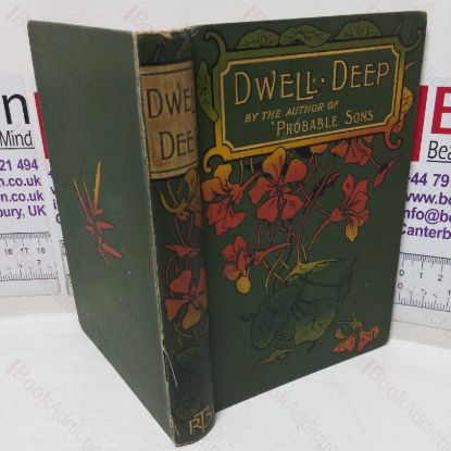 Picture of Dwell Deep, or Hilda Thorn's Life Story