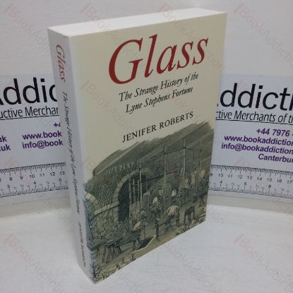 Picture of Glass: The Strange History of the Lyne Stephens Fortune