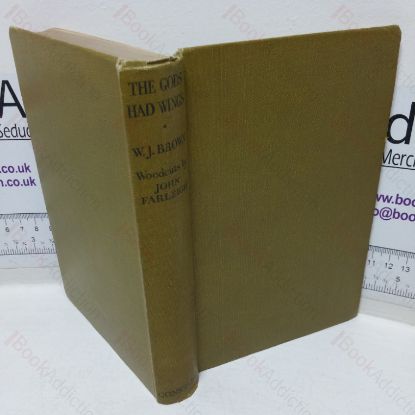 Picture of The Gods Had Wings